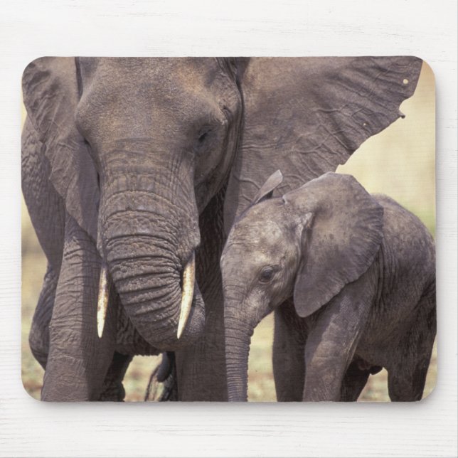 Tapis De Souris Afrique, Tanzanie, Parc national de Tarangire. 2 (Devant)