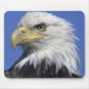 Tapis De Souris Aigle à tête blanche (Haliaeetus leucocephalus), s