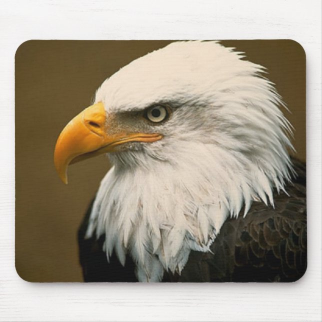 Tapis De Souris aigle chauve (Devant)