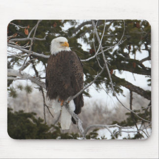Tapis De Souris Aigle de Bald