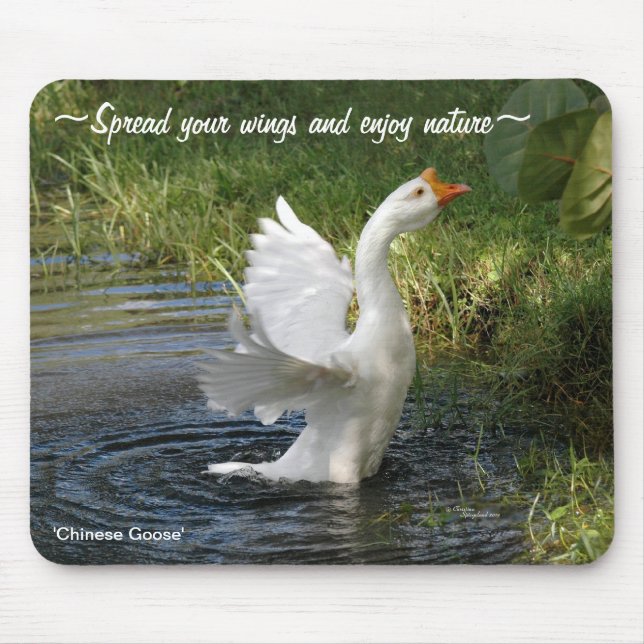 Tapis De Souris Ailes blanches d'oie chinoise Mousepad (Devant)