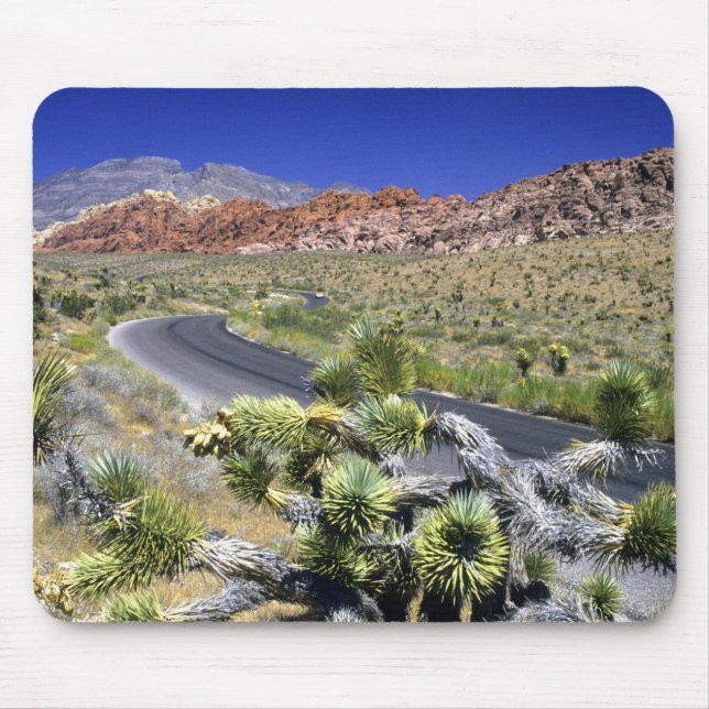 Tapis De Souris Aire nationale de conservation du canyon de Red Ro (Devant)