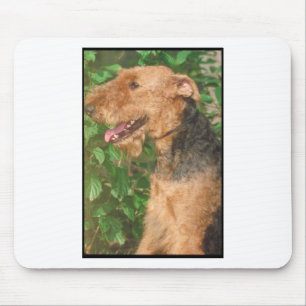 Tapis De Souris Airedale Terrier