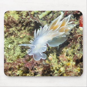 Tapis De Souris Albâtre Nudibranche