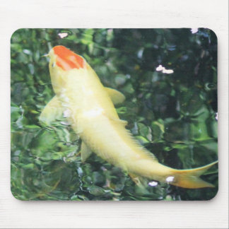 Tapis De Souris Alimentation de Tancho Koi