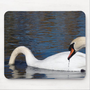 Tapis De Souris Alimentation des cygnes