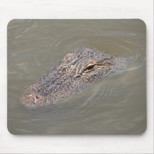 Tapis De Souris Alligator