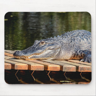 Tapis De Souris Alligator at Homosassa Springs Wildlife State Park