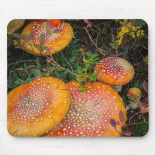 Tapis De Souris amanites tue-mouches au lac Mowich