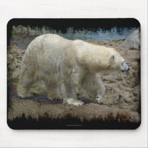 Tapis de souris amateur d'ours ours polaire arctiq