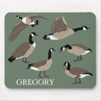 Amateurs d'oiseaux Canada Oies Illustration person