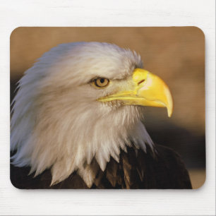 Tapis de souris américain d'Eagle chauve