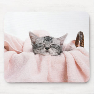 Tapis De Souris Américain Shorthair 10