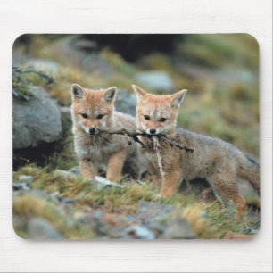Tapis De Souris Amérique du Sud, Chili, Torres del Paine National