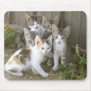 Tapis De Souris Amis Mousepad de chaton