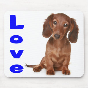 Tapis De Souris Amour Dachshund Chien Chien Coquelicot Ordinateur