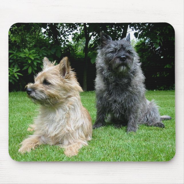 Tapis De Souris Amour de Cairn Terrier Chien Chien Mousepad (Devant)