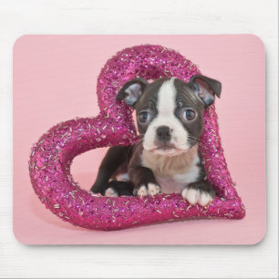 Tapis De Souris Amour de chiot des images   de Getty