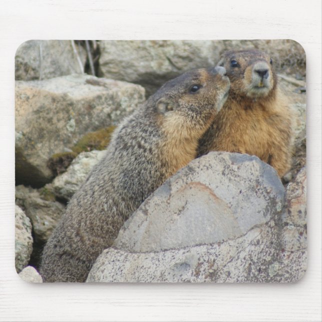 Tapis De Souris Amour de Marmot (Devant)