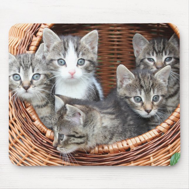 Tapis De Souris Amoureux de les chats (Devant)