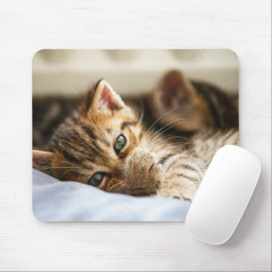 Tapis De Souris Amoureux des chats