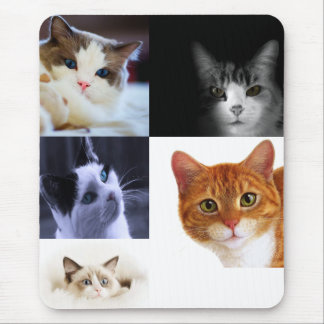 Tapis De Souris Amoureux des chats Mousepad