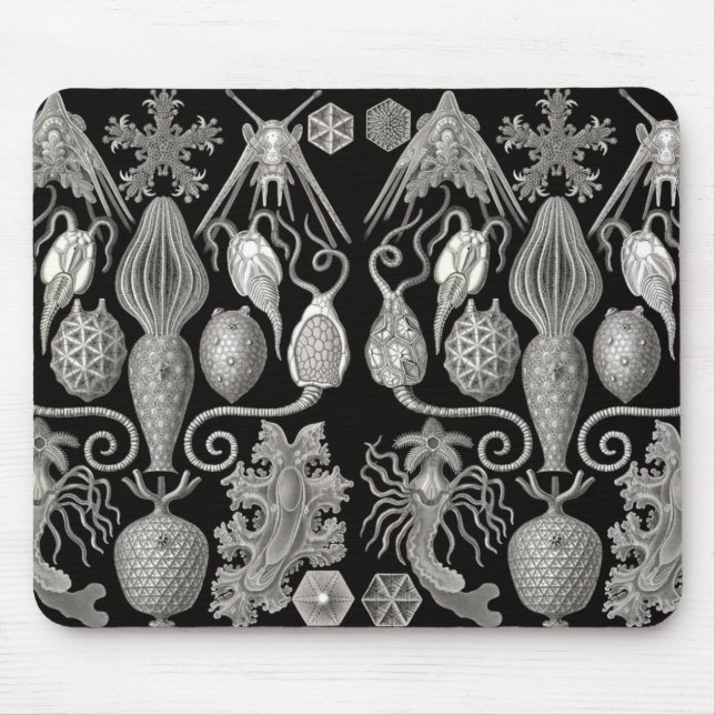 Tapis De Souris "Amphoridée; ou Star-Animals" (Devant)