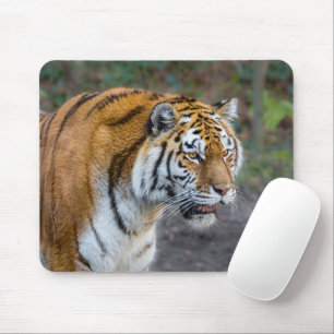Tapis De Souris Amur tiger