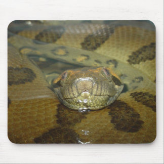 Tapis De Souris Anaconda vert