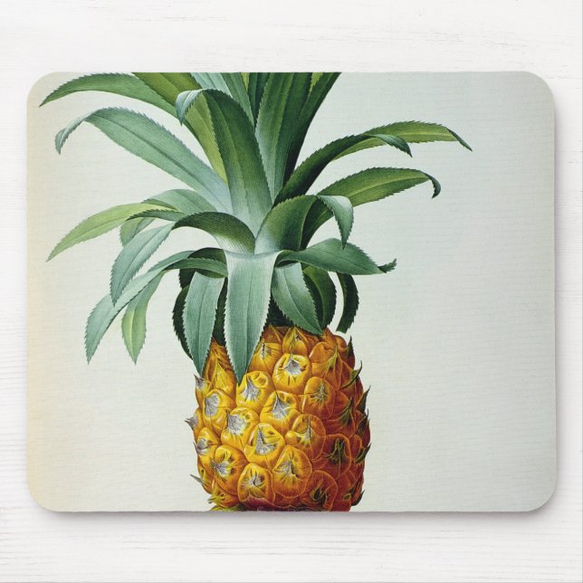 Tapis De Souris Ananas de Bromelia, de 'Les Bromeliacees (Devant)