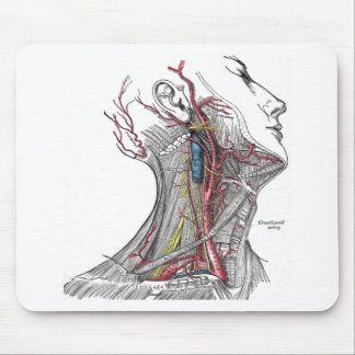 Tapis De Souris Anatomie du cou