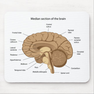 Tapis De Souris Anatomie Mousepad d'esprit humain