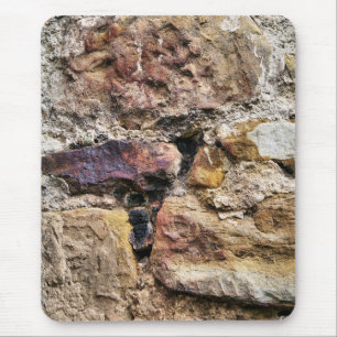 TAPIS DE SOURIS ANCIENNE ANGLETERRE