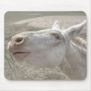 Tapis De Souris Âne blanc autrichien-hongrois