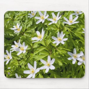 Tapis De Souris Anémone des bois