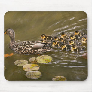 Tapis De Souris Animal - Canards - Nager comme un canard