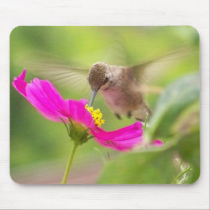 Tapis De Souris Animal de faune d'oiseau de colibri floral