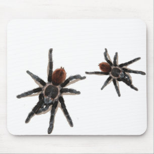 Tapis De Souris Animal familier vivant d'araignée de Taranchula
