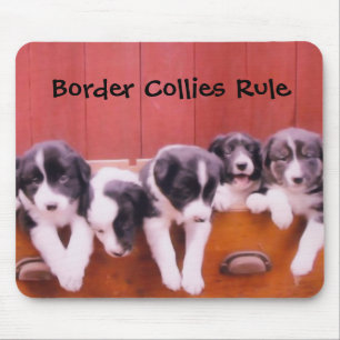 Tapis De Souris Animal Mousepad de règle de colleys de frontière