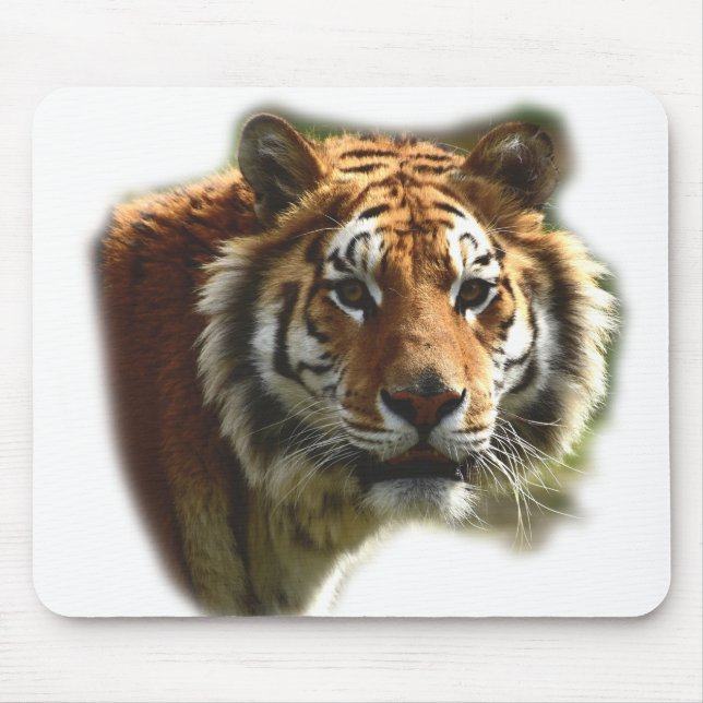 Tapis De Souris Animal sauvage de tigre personnalisé (Devant)