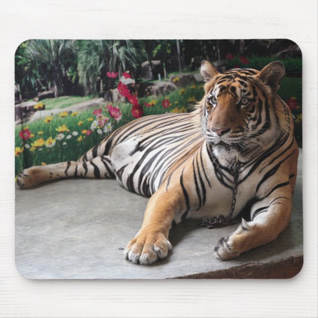 Tapis De Souris Animal sauvage de tigre personnalisé (Devant)