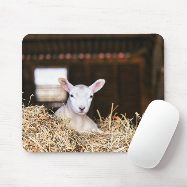 Tapis De Souris Animaux de bébés cutest | Agneau nouveau-né (Avec souris)