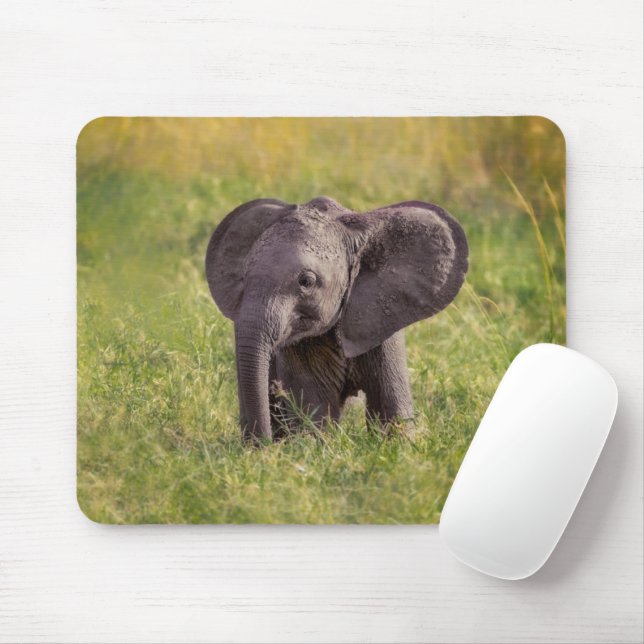 Tapis De Souris Animaux de bébés cutest | Baby Elephant Kenya Afri (Avec souris)