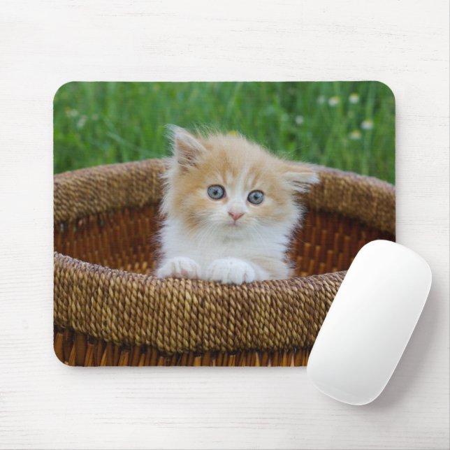 Tapis De Souris Animaux de bébés cutest | Blue Eyed Kitten (Avec souris)