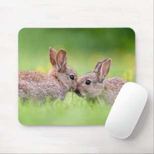 Tapis De Souris Animaux de bébés cutest   Bunny Kiss