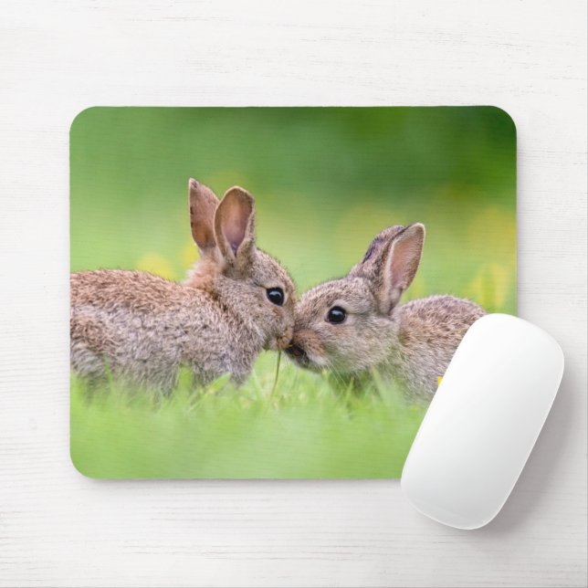 Tapis De Souris Animaux de bébés cutest | Bunny Kiss (Avec souris)