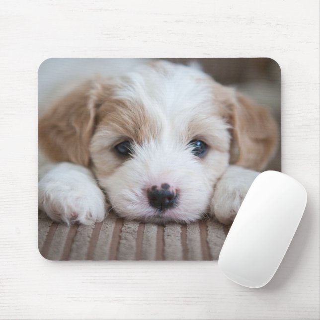Tapis De Souris Animaux de bébés cutest | Cavashon Puppy (Avec souris)