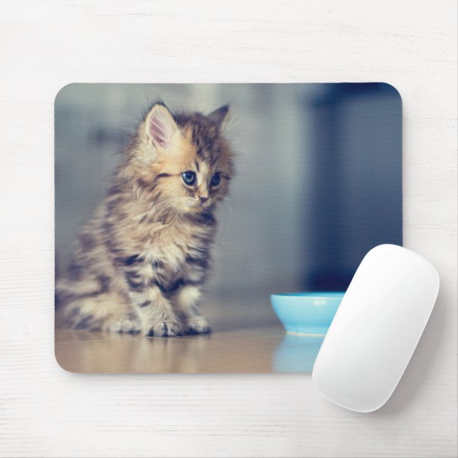 Tapis De Souris Animaux de bébés cutest | Chaton persan aux yeux b (Avec souris)