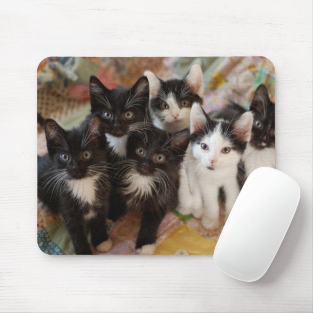 Tapis De Souris Animaux de bébés cutest | Chatons noirs et blancs (Avec souris)