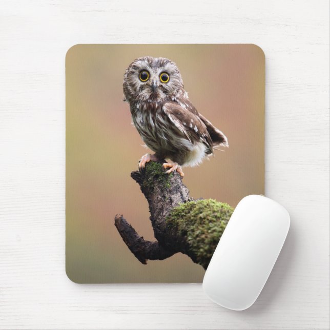 Tapis De Souris Animaux de bébés cutest | Chouette blanche de la s (Avec souris)